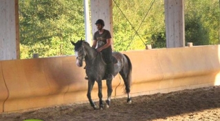  Western riding school in the Gorizia area